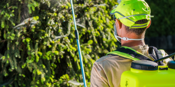 man spraying for pests on crops